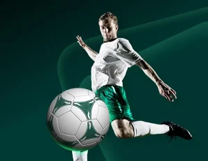 Upptäck Pafpartners möjligheter